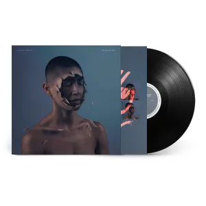 Valley Of Vision, The (Vinyl)