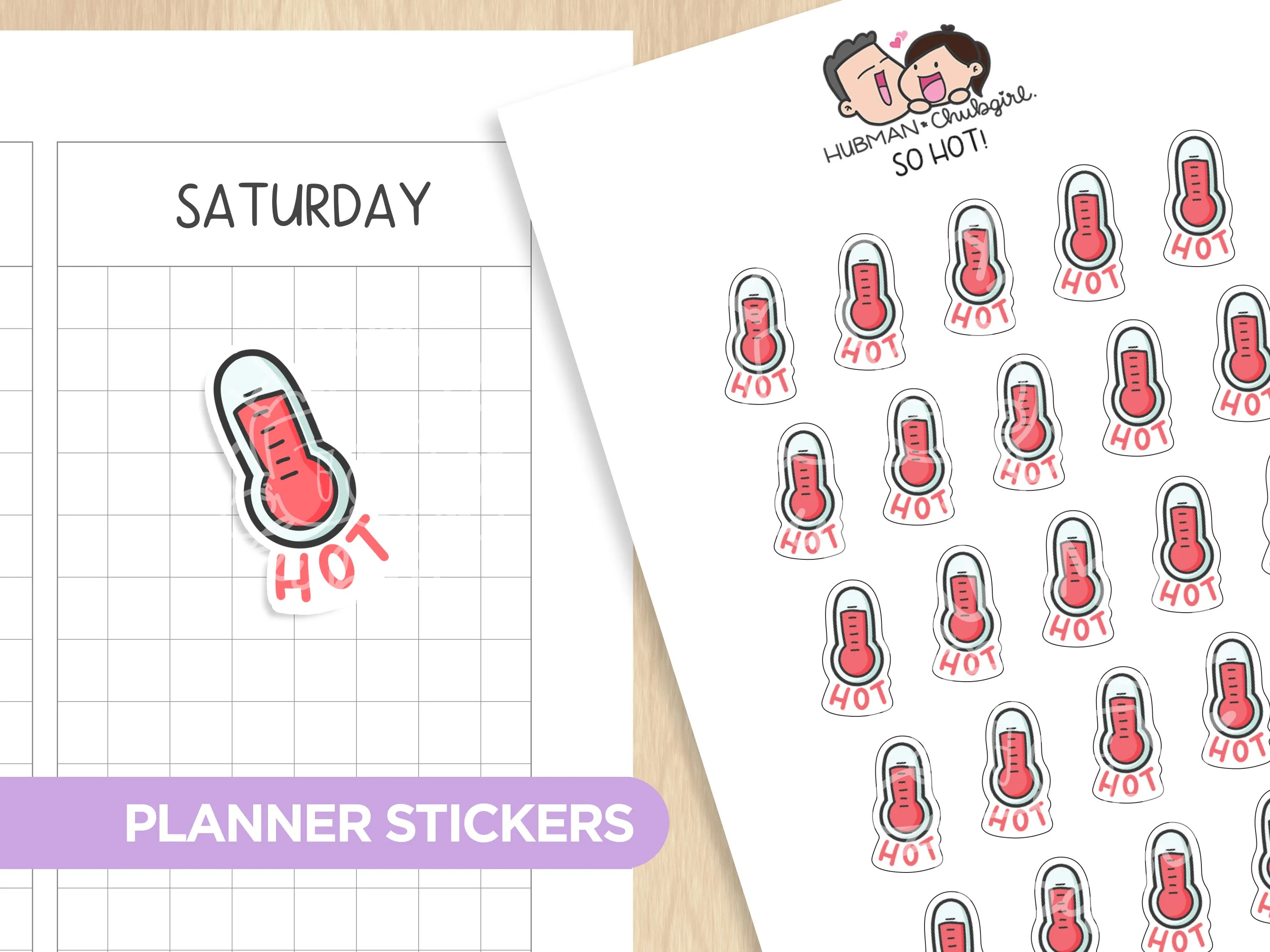 Weather Tracker Planner Sticker Set