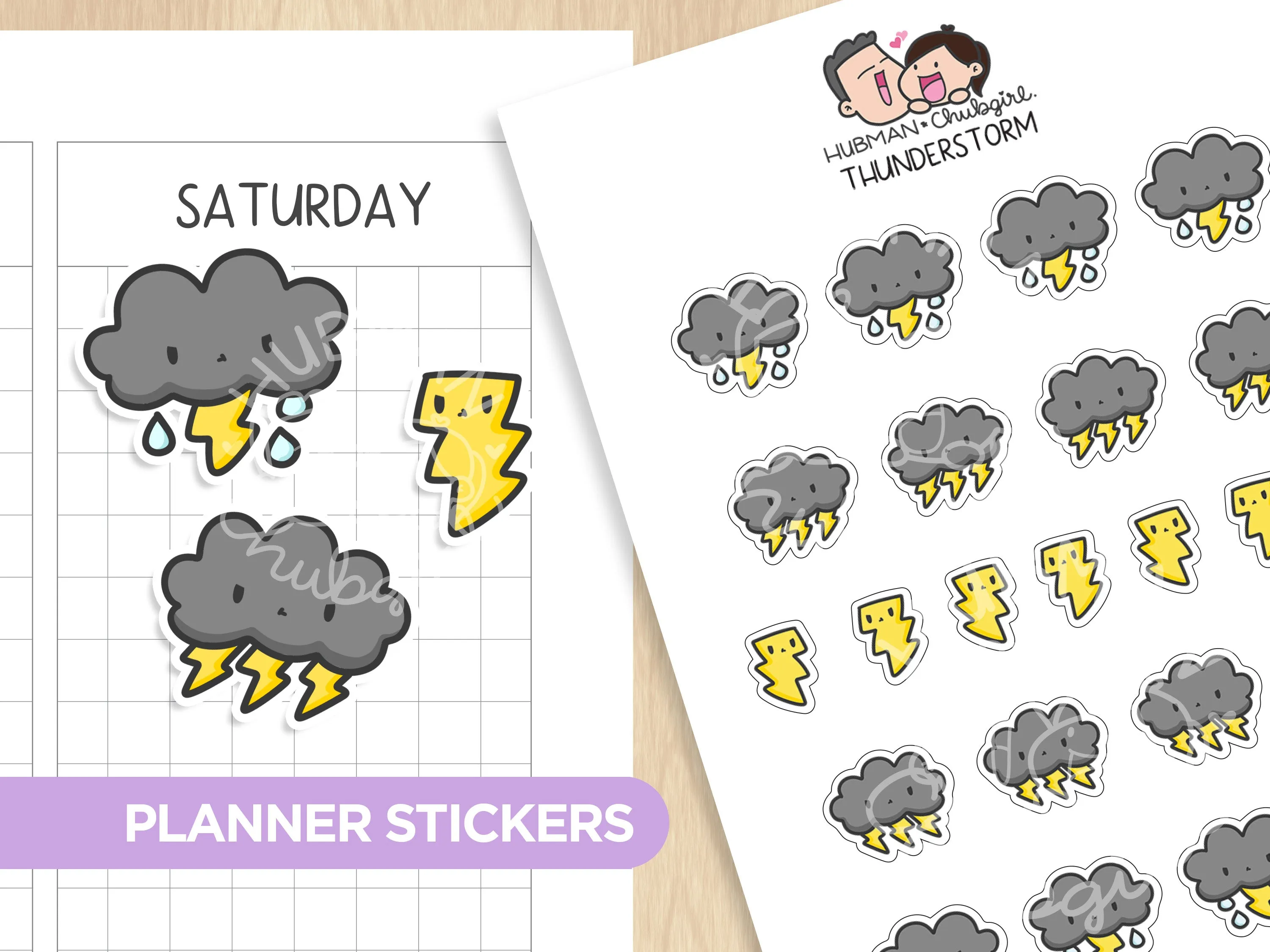 Weather Tracker Planner Sticker Set